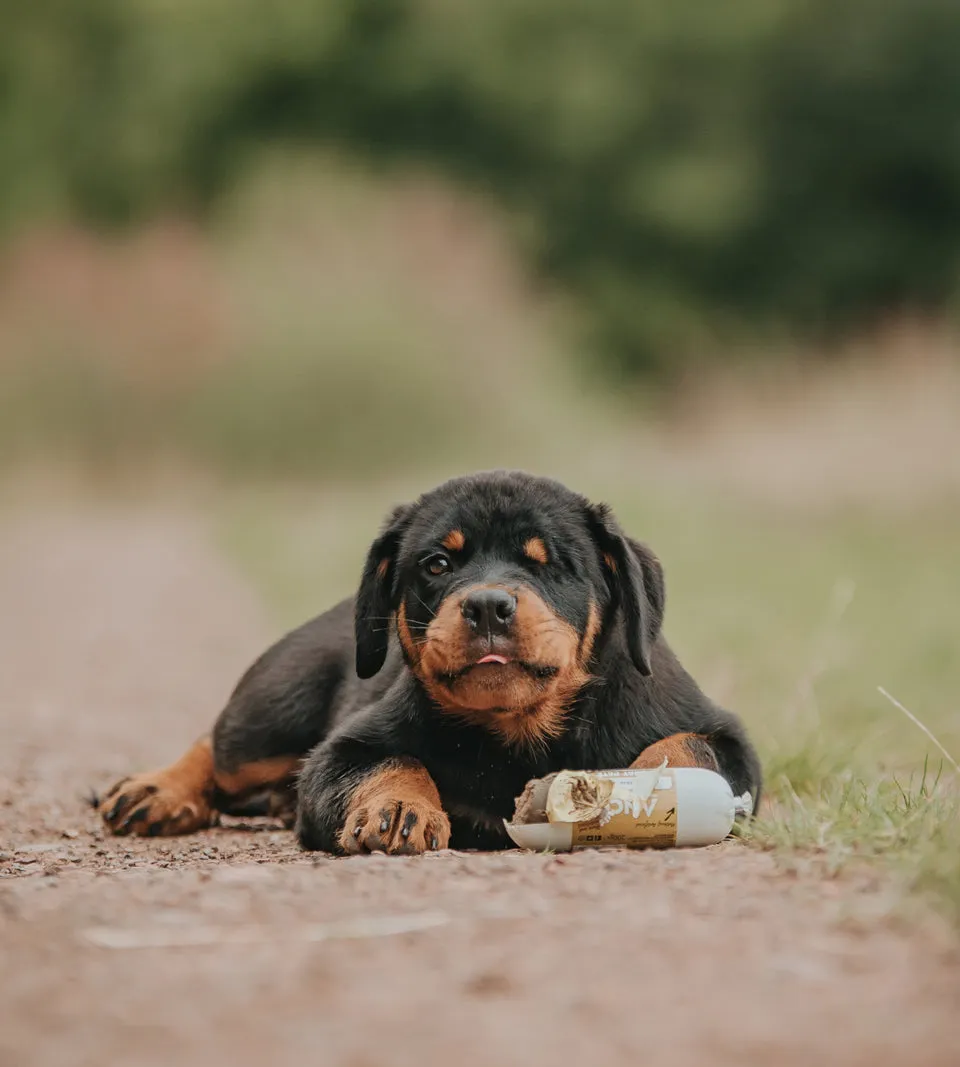 Anco Goat Pate Dog Treat