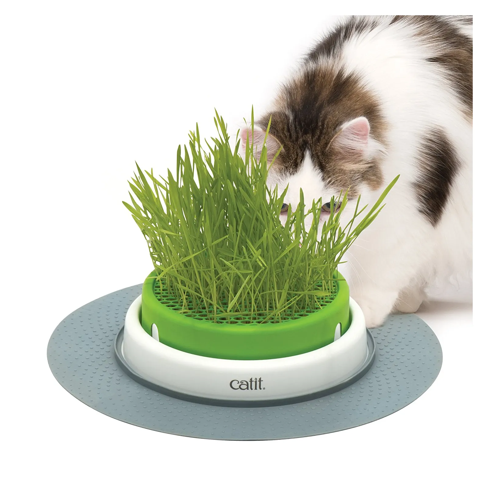 Catit Senses 2.0 Grass Planter