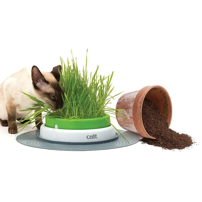 Catit Senses 2.0 Grass Planter