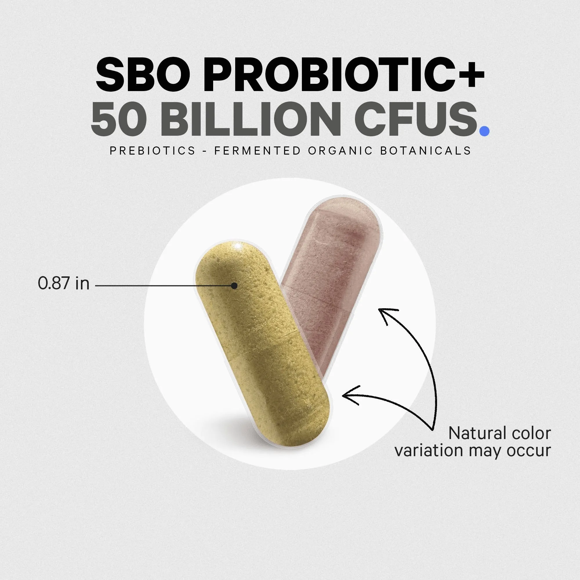 Codeage Digestion SBO Probiotic  50 Supplement