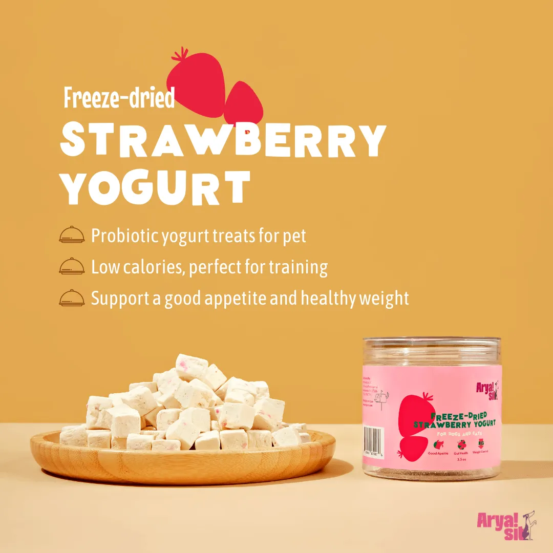 Freeze-Dried Strawberry Yogurt from Arya Sit