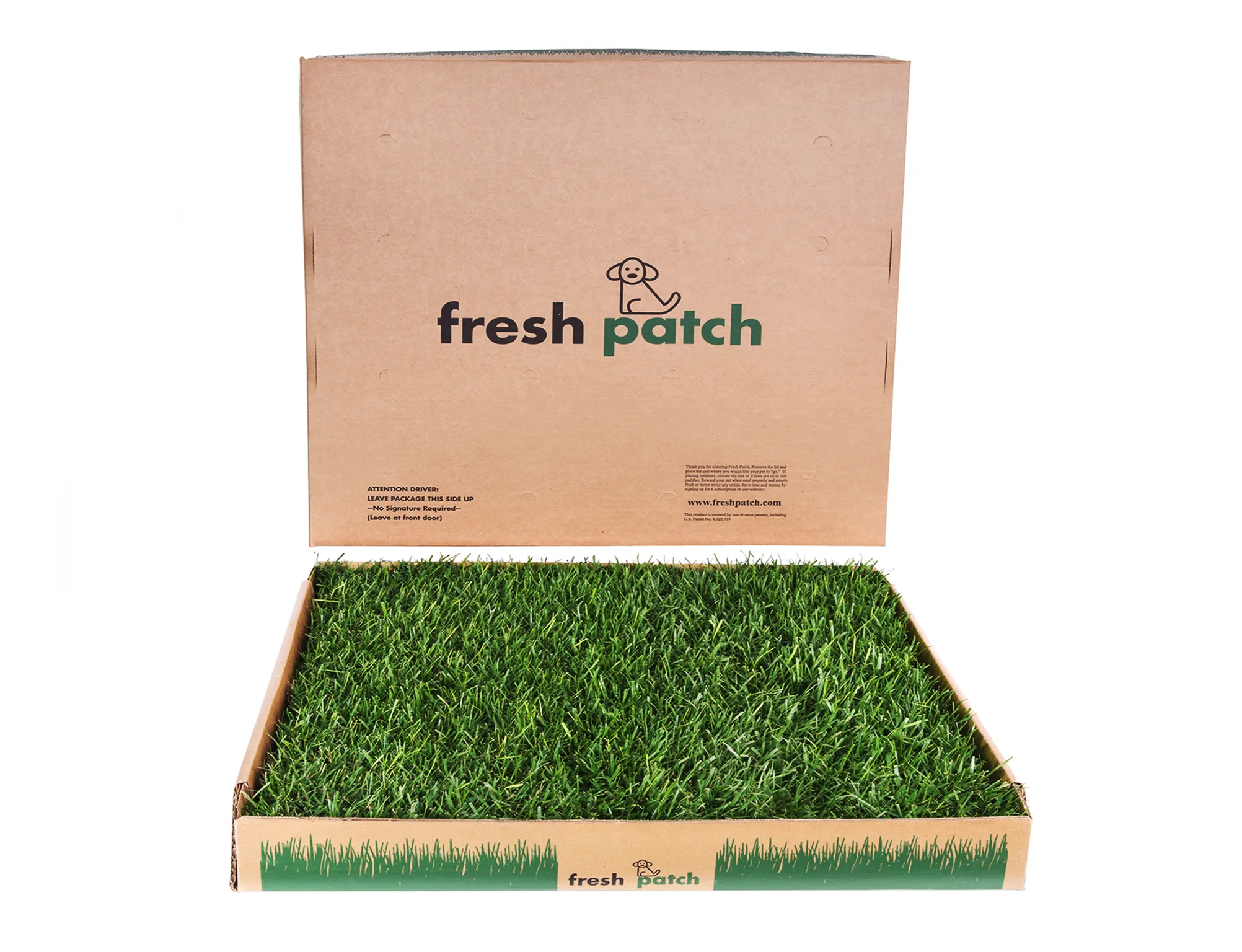 Fresh Patch (Large)