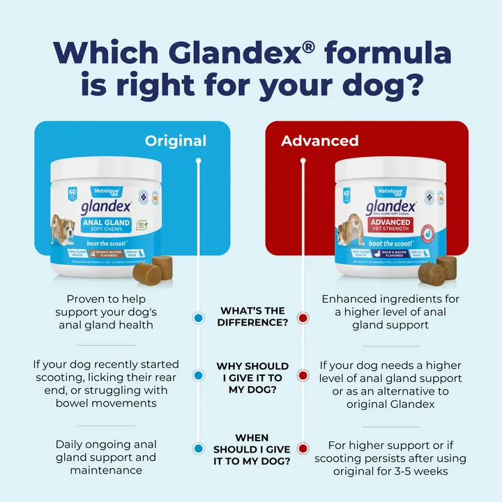 Glandex® Anal Gland Supplement for Dogs with Pumpkin