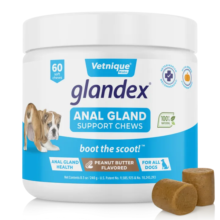 Glandex® Anal Gland Supplement for Dogs with Pumpkin