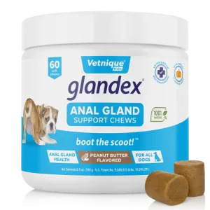 Glandex® Anal Gland Supplement for Dogs with Pumpkin