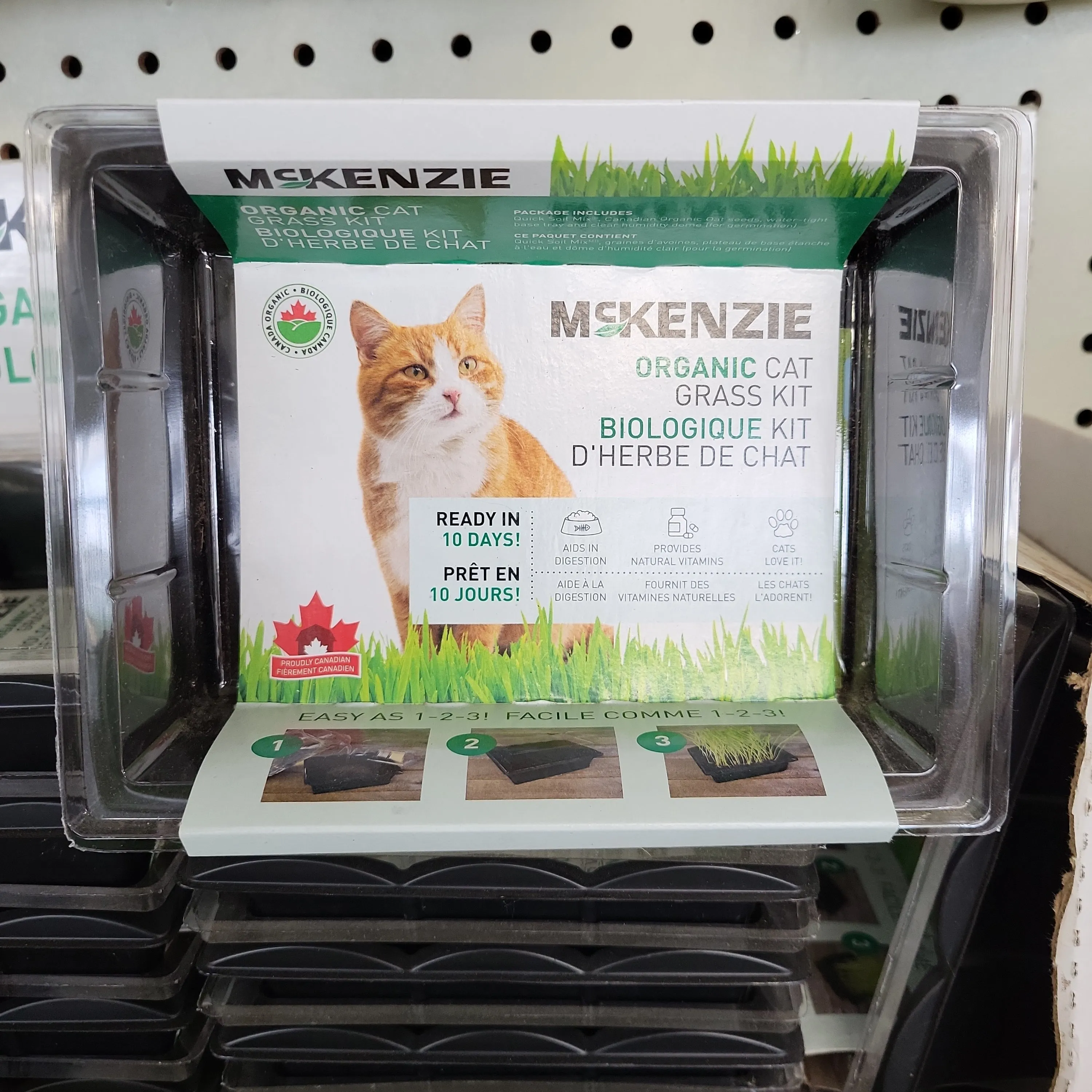 Jiffy Organic Cat Grass Kit