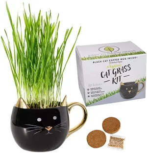 Organic Cat Grass Kit