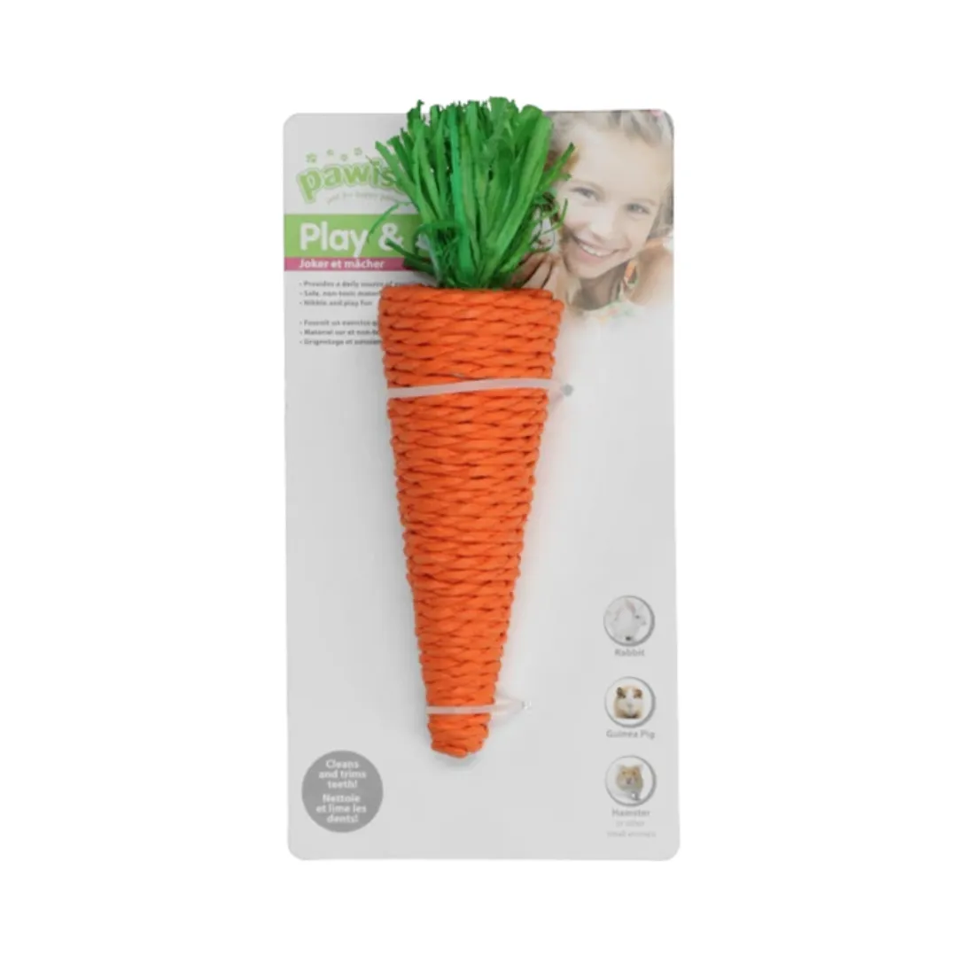 Pawise Small Animal Carrot Chew