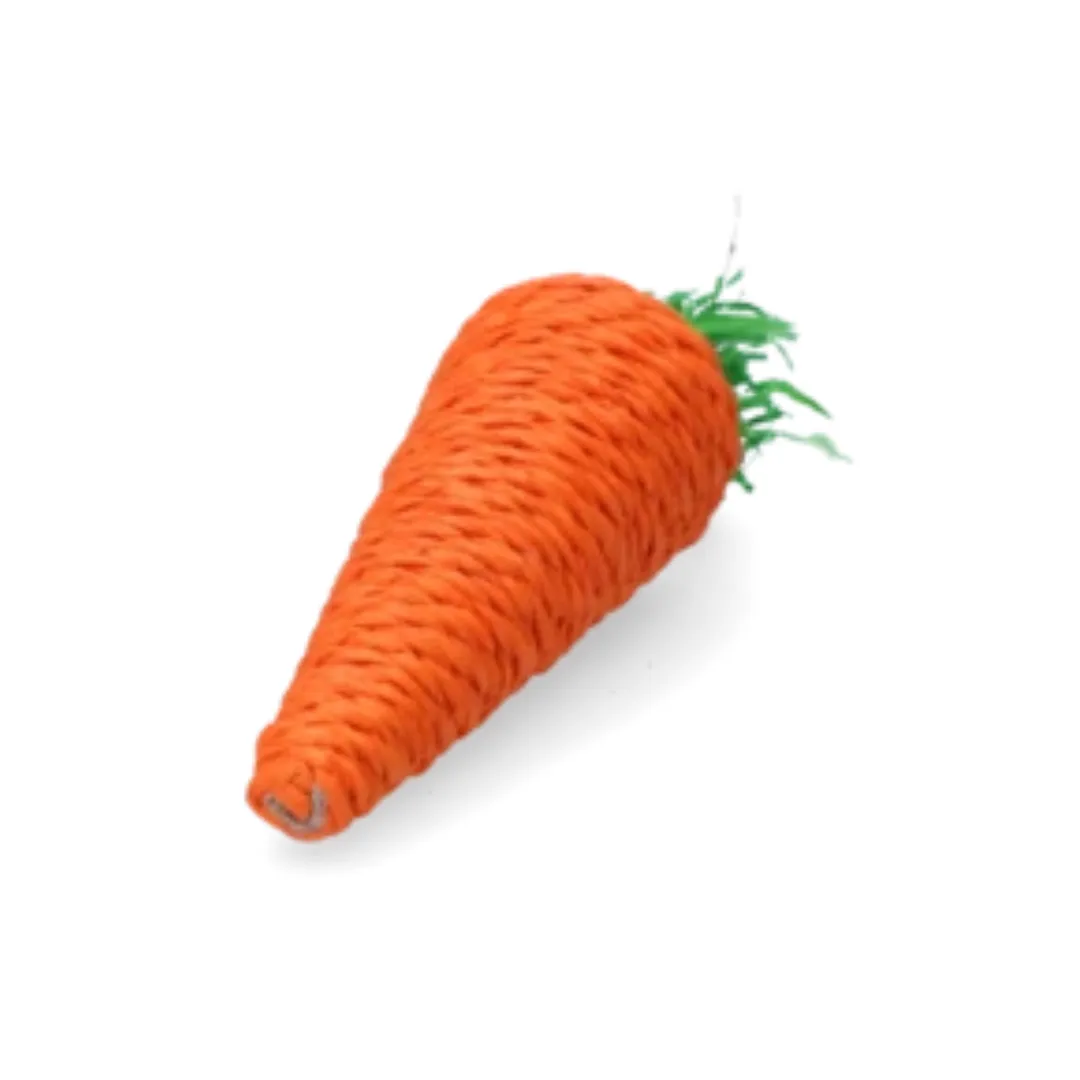 Pawise Small Animal Carrot Chew