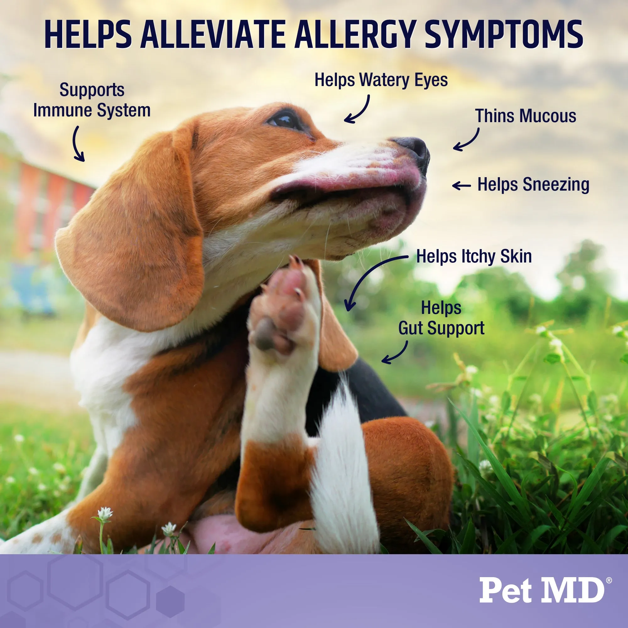 Pet MD Allergy Aid - 60 ct