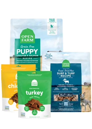 Puppy Essentials Pack