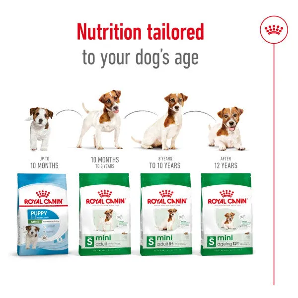 Royal Canin | Size Health Nutrition | Dry Dog Food | Adult & Senior | Mini Small Breed