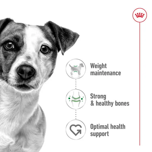 Royal Canin | Size Health Nutrition | Dry Dog Food | Adult & Senior | Mini Small Breed