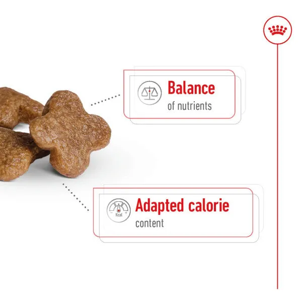 Royal Canin | Size Health Nutrition | Dry Dog Food | Adult & Senior | Mini Small Breed