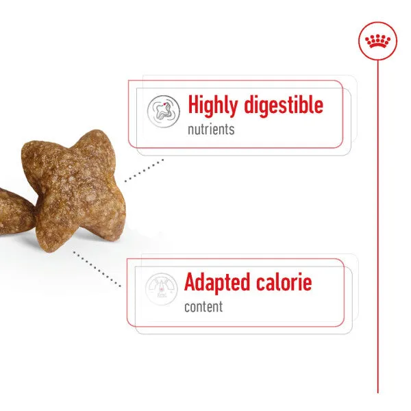 Royal Canin | Size Health Nutrition | Dry Dog Food | Adult & Senior | Mini Small Breed