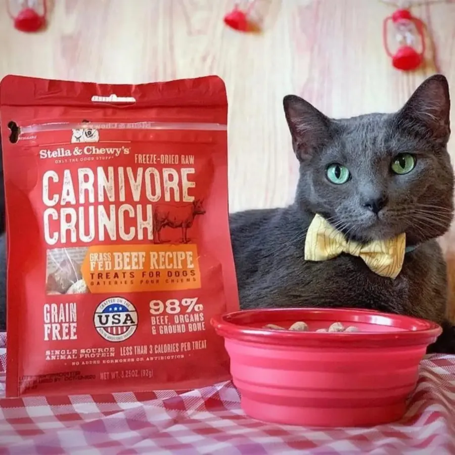 Stella & Chewy's Carnivore Crunch Grass-Fed Beef Recipe Freeze-Dried Dog Treats 3.25 oz