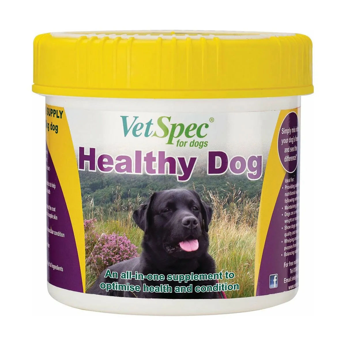 Vetspec Healthy Dog