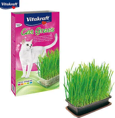 Vitakraft Cat Grass 120g