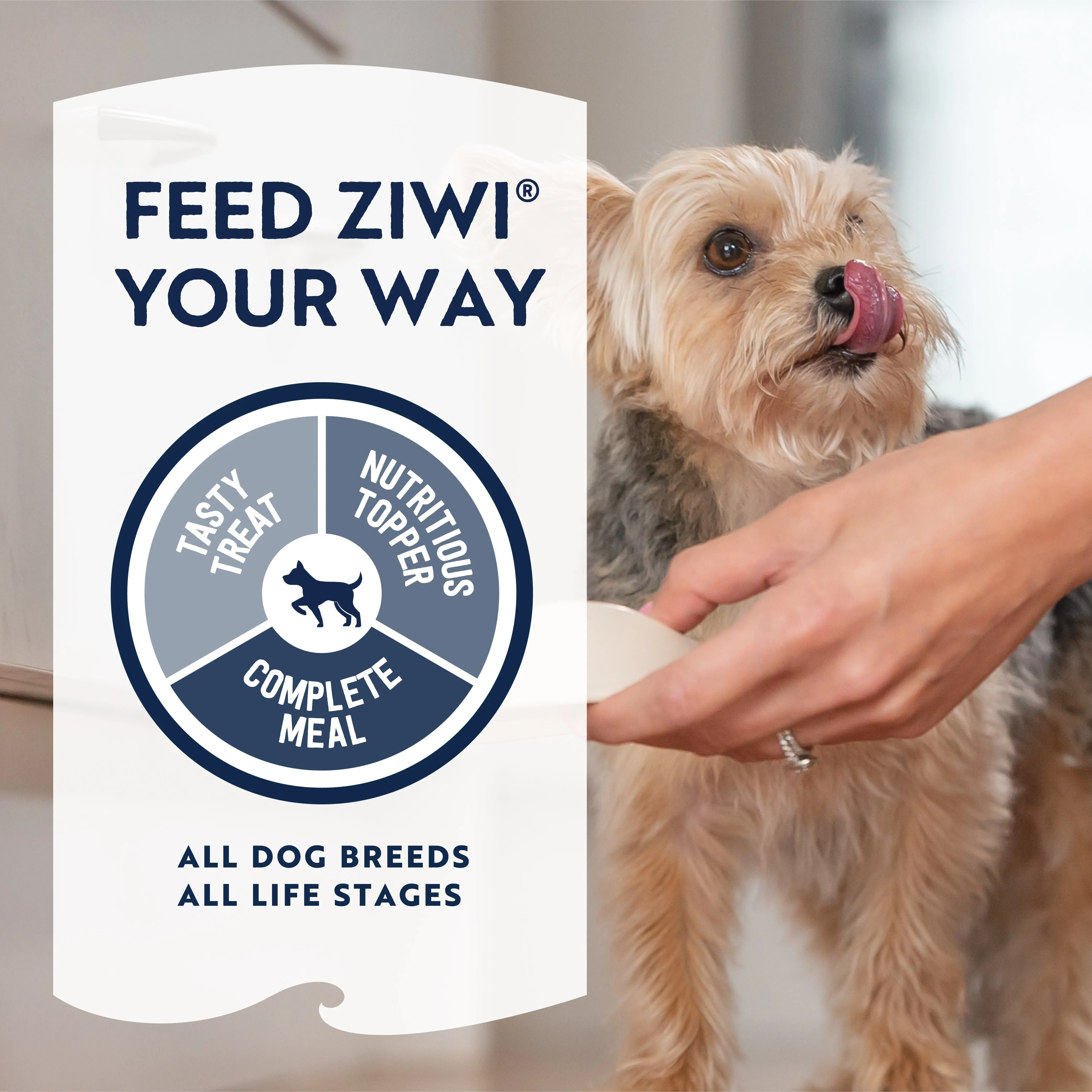 ZIWI Peak Air Dried Lamb Recipe Dog Food 2.5kg